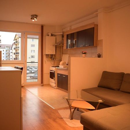 锡比乌Apartament Alexandru公寓 外观 照片