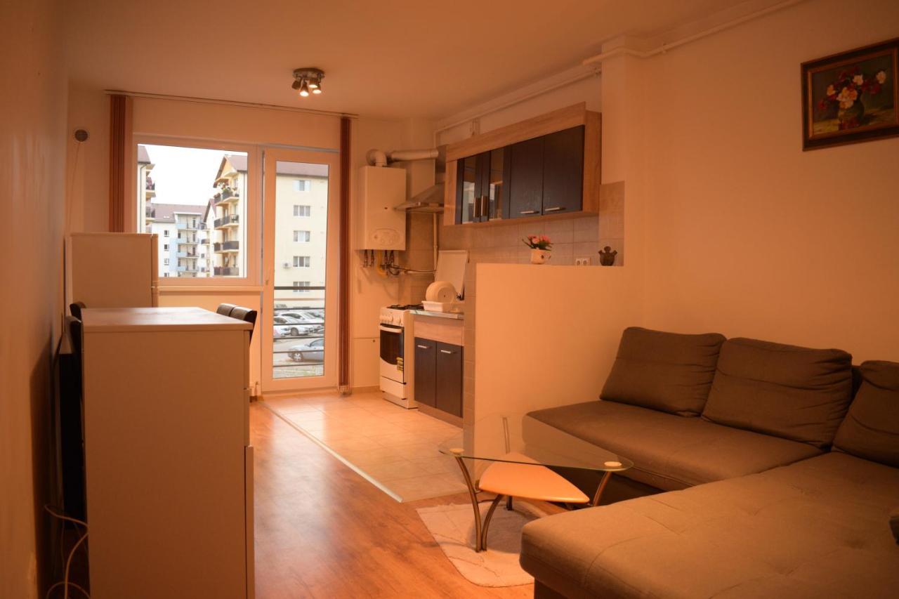 锡比乌Apartament Alexandru公寓 外观 照片