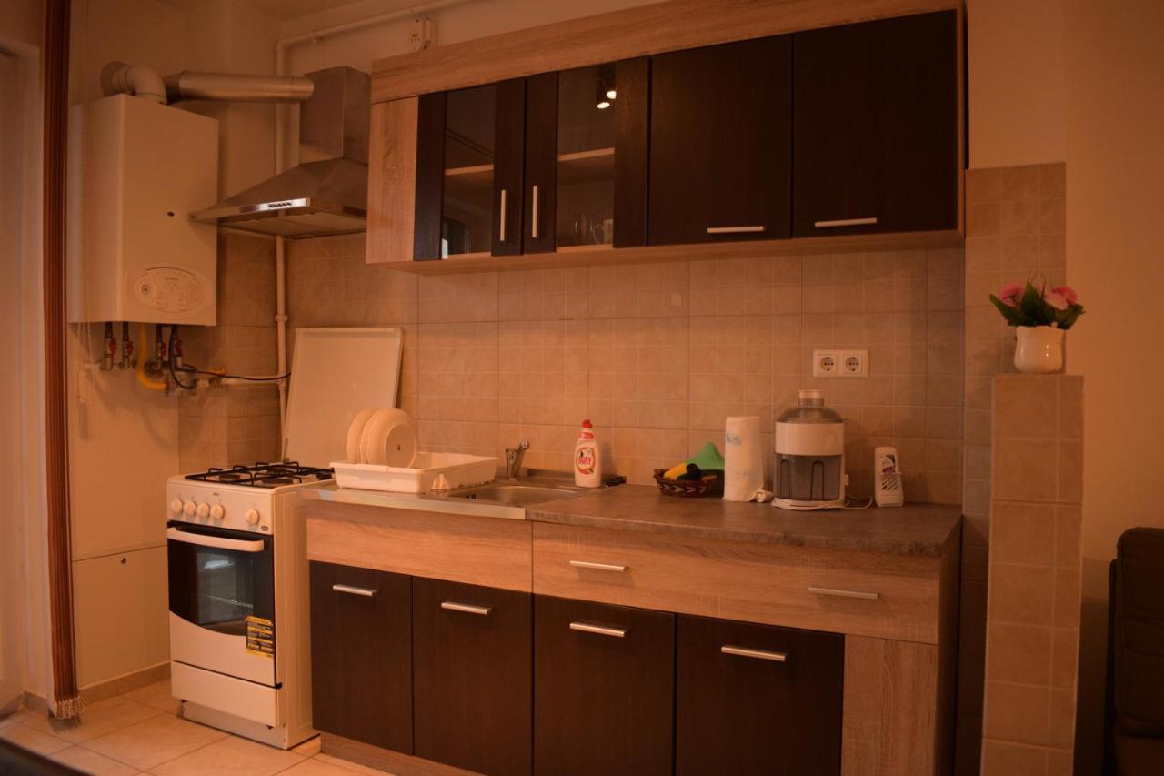 锡比乌Apartament Alexandru公寓 外观 照片
