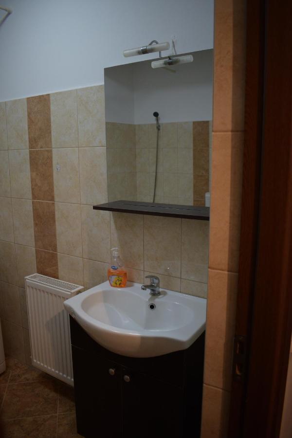 锡比乌Apartament Alexandru公寓 外观 照片